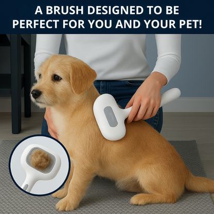 Person grooming a dog with a brush, with text 'A brush designed to be perfect for you and your pet!'.